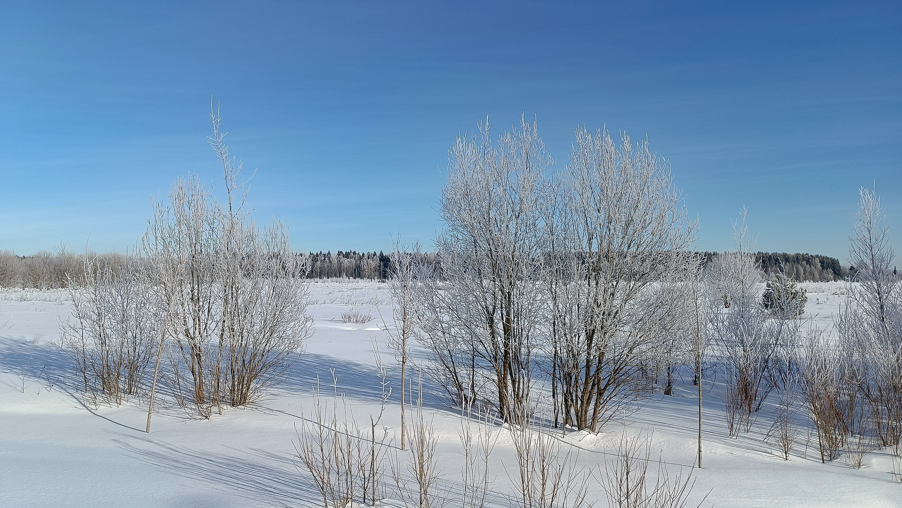 20,02,24*-12°c*ЗИМА В МОСКВЕ... WINTER IN MOSCOW - LimeWire